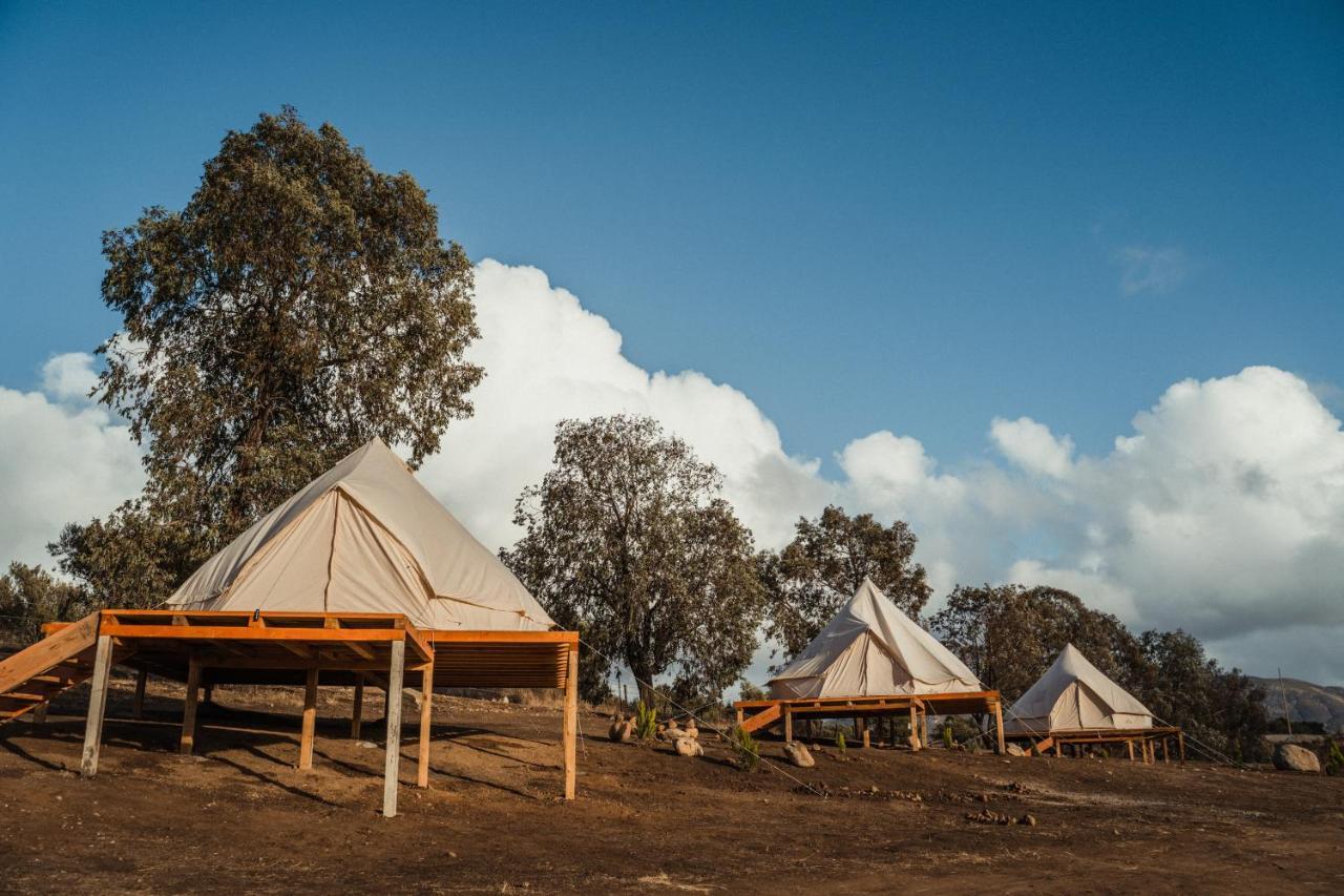 Lago Valle Wine Glamping Valle de Guadalupe Exterior foto